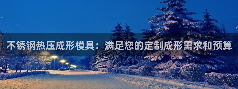 emc易倍官网登录首页：不锈钢热压成形模具：满足您的定制