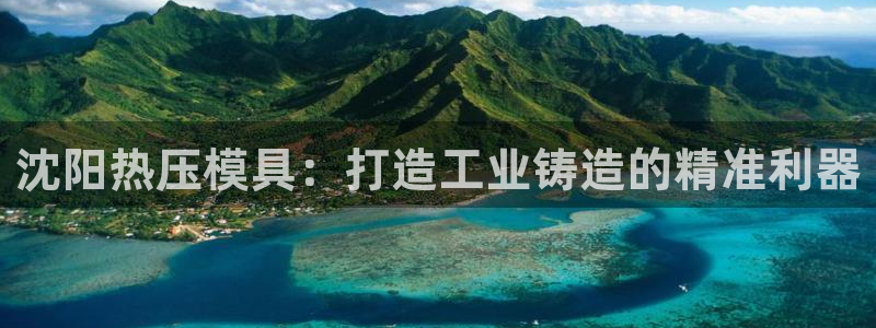 易倍申不良反应：沈阳热压模具：打造工业铸造的精准利器