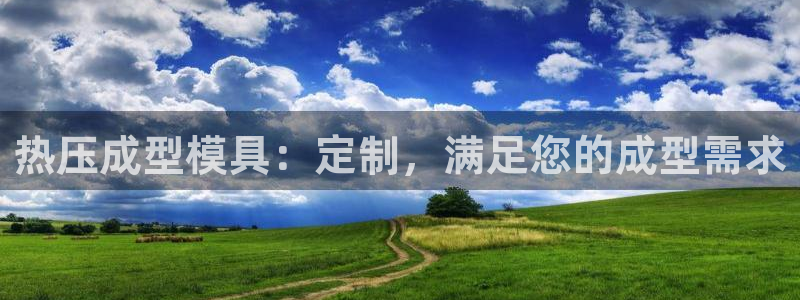 emc全站网页版：热压成型模具：定制，满足您的成型需求