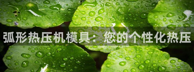 emc易倍全站官网：弧形热压机模具：您的个性化热压