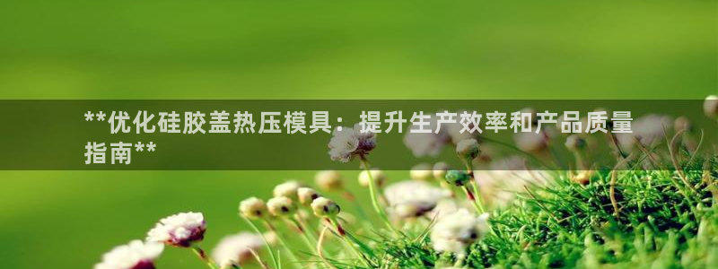 emc易倍：**优化硅胶盖热压模具：提升生产效率和产品质