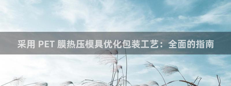 emc易倍黑吗：采用 PET 膜热压模具优化包装工艺：全