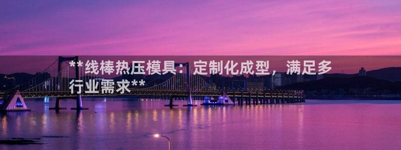emc调试技巧：**线棒热压模具：定制化成型，满足多
行