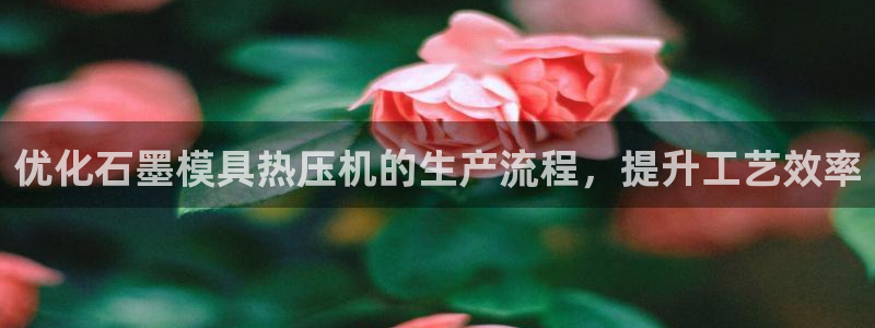 易倍申是进口药吗：优化石墨模具热压机的生产流程，提升工艺