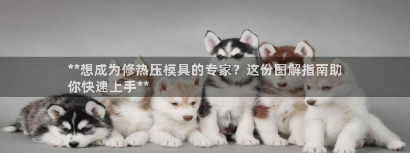 易倍单词官网下载：**想成为修热压模具的专家？这份图解指