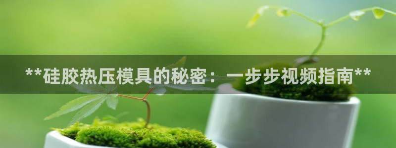 易倍单词官方网站的：**硅胶热压模具的秘密：一步步视频指