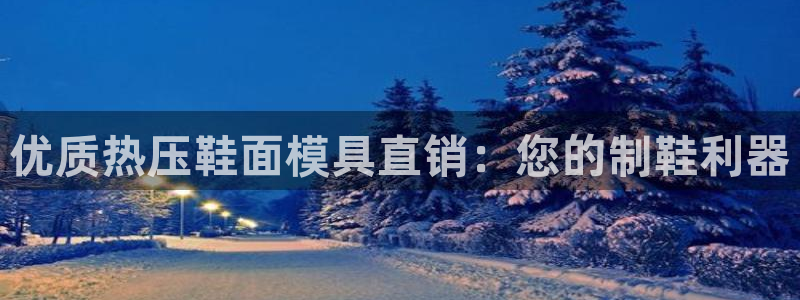 emc服务器是什么：优质热压鞋面模具直销：您的制鞋利器