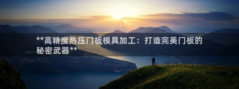 EMC易倍让身份验证：**高精度热压门板模具加工：打造完