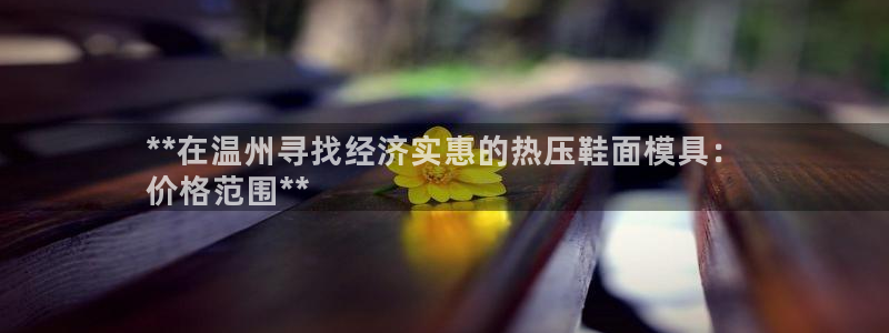 易倍全站：**在温州寻找经济实惠的热压鞋面模具：
价格范
