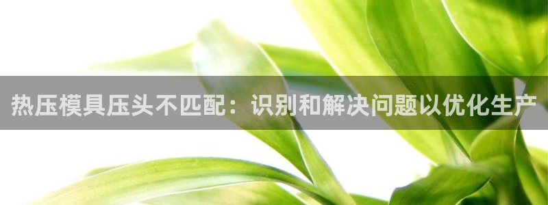 emc易倍网页版：热压模具压头不匹配：识别和解决问题以优