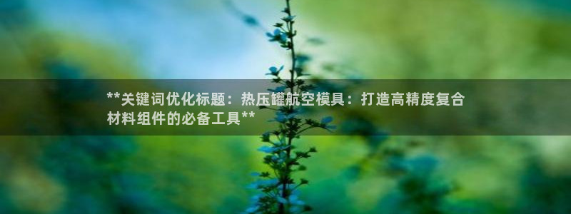 emc易倍出空款：**关键词优化标题：热压罐航空模具：打