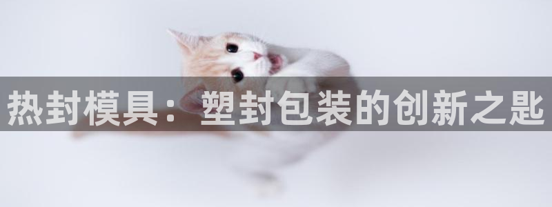 emc易倍官方下载：热封模具：塑封包装的创新之匙