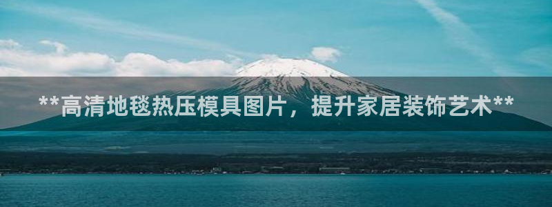 武汉易倍捷科技有限公司：**高清地毯热压模具图片，提升家